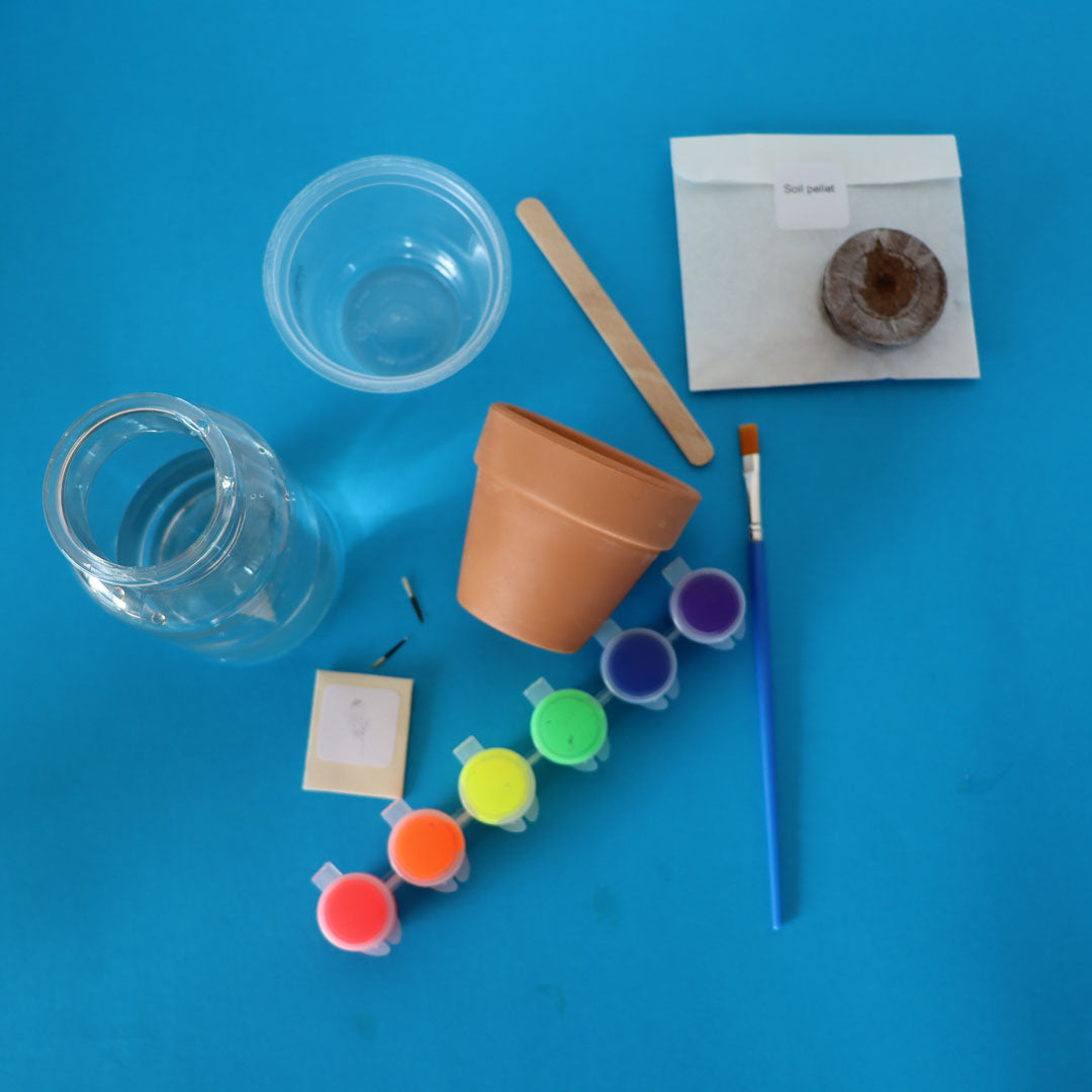 Grow me! Flowerpot painting kit