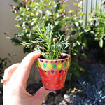 Load image into Gallery viewer, Grow me! Flowerpot painting kit
