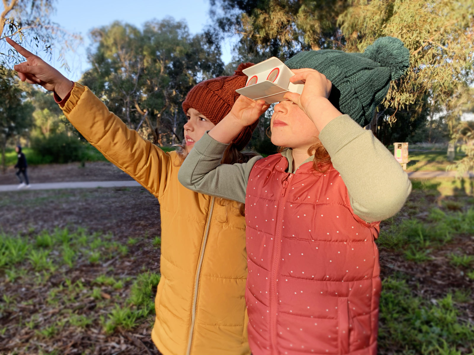 Paper Binoculars- Bird Spotter