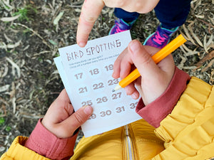 Paper Binoculars- Bird Spotter